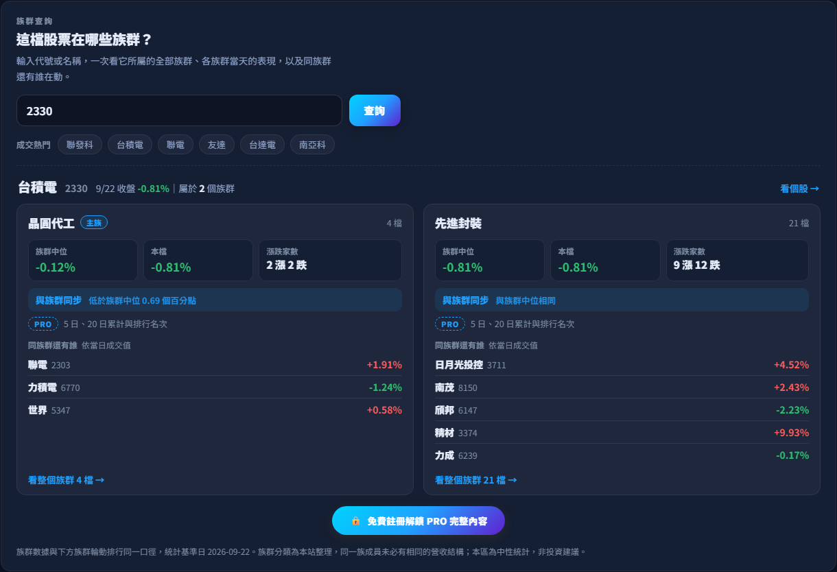 族群查詢深色主題：輸入 2330 後列出晶圓代工與先進封裝兩個族群卡，各附族群中位、本檔漲跌、漲跌家數、判讀與同族成交值前幾名